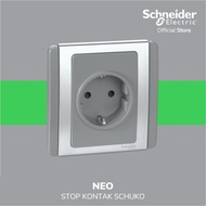 E3426-Gs Neo Grey Silver Schneider Socket
