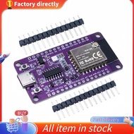 In -RTL8720DN Dual-Band WiFi Bluetooth Module NICEMCU BW16 Development Board Onboard  Antenna,