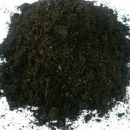 Peat Moss Holland / Seeding Substrate / tanah semaian