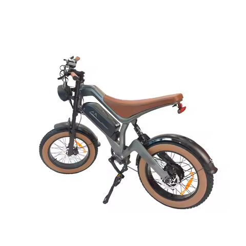DYU M20 Adult Electric Bicycle 20 Fat Tire E-Mountain bike 1000W motor city ebike 48V18.2AH battery 