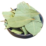 Bay Leaf Spice / Herb / Cooking Ingredient / Natural fragrance Whole leaf / to barbecue marinade / spice seasoning / fennel leaves selected laurel leaves bulk fennel seasoning ingr