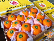 ส้มแมนดาริน ไต้หวัน Mandarin Orange (ยกลัง7KG) (TAIWAN) ~ลดพิเศษ~ ขายส่ง ราคาส่ง ส้มไต้หวัน ตรานกเงื