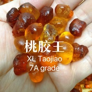 【100g/7A/XL】桃胶王 100%干净 King Of Taojiao Peach Gum King 100% clean