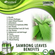 pureherb sambong advance