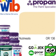 CAT TEMBOK PROPAN 25 KG - OR 136 Nutmeats