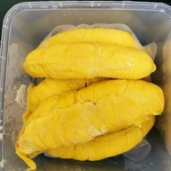 terbaru Durian Musang King Utuh Grade AA ex. Pahang (Kode:JA)
