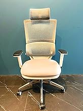 UMD Ergonomic Mesh Office Chair With Aluminium Leg And Enhanced Lumbar Support Grey/White