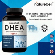 NatureBell DHEA 100mg-240 Capsules DHEA Supplement for Energy Levels Immune Health & Healthy Aging S