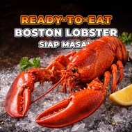 【READY-to-EAT】Masak Boston Lobster Premium -DELIVERY NOW