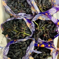 Promo Buah Anggur Hitam Panjang/Usa Long Black Grapess Autumn Seedless 1 Kg Ready