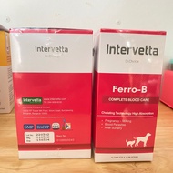 Ferro B 100 เม็ด วิตามินบำรุงเลือดสำหรับสุนัขและแมว