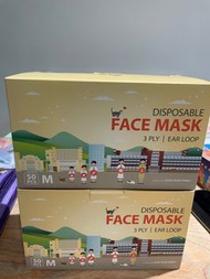 Good Hope mask 徳望口罩