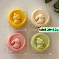 Mini Moon Cake Mould Rabbit Mooncake Mould 20g 30g 25g Biscuit Mold Flower Stamp Hand Press Baking T