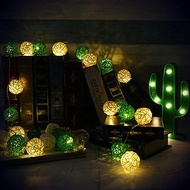 創意燈飾 籐球燈串 電池款 青青草原 長度2M LED氣氛燈 聖誕節