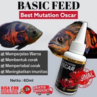 BISA COD Best mutation oscar | cairan mutasi progres ikan red oscar ikan oscar albinovitamin oscar