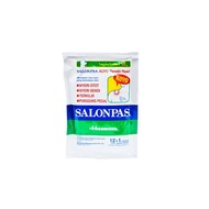 Salonpas Patch 12 Sheets