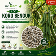 ( 100 Gram ) Benih Biji LCC Koro Benguk | Mucuna Cochinchinensis