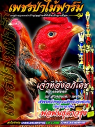 ไข่เชื้อไก่ชนชุดvipของทางซุ้ม  เจ้าทองอภิเดชสุดยอดไก่แข้งหน้าตีตาราคาฟองละ120บาท(พิเศษช่วงโปรซื้อ3แถม1/ซื้อ5แถม2)