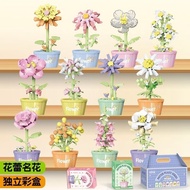 Succulents Potted Plants Building Blocks Flower Particles Children Assembling Model Ornaments Toys B