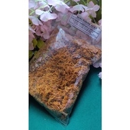 Serunding Ayam Original Rumah Hijau (500g) Wan Sabariah Pasir Mas