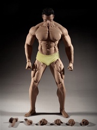 HiPlay TBLeague 1/6 Scale Seamless Male Action Figure Body- 12 Inch Super Flexible Collectible Figur