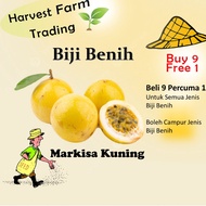Biji Benih Markisa Kuning 10pcs yellow passion seed fruit seed golden passion seed 黄金百香果种子 vegetable