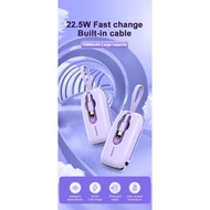 PN876PD 10000mAh 22.5W POWER BANK *