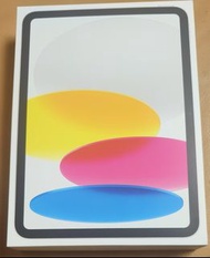 Apple iPad 10 256GB 插卡版（銀色）