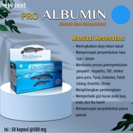 Pro Albumin Snakehead Fish Extract | Pro Albumin contains 50 capsules of kutuk capsules extra kutuk/