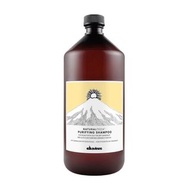 Davines - NATURAL PURIFYING SHAMPOO 純淨抗頭皮屑洗髮露1000ml