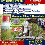 PROMO RICETOP 500ml Obat Pengusir Hama Tikus Di Sawah - Obat Pembasmi Hama Tikus - Obat Hama Tikus Pada Tanaman Padi - Obat Hama Tikus Di Rumah - Racun Hama Tikus - Obat Pengendali Hama Tikus - Obat Semprot Untuk Hama Tikus yang Ampuh Mujarab