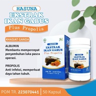 Ekstrak Ikan Kutuk Gabus Plus Propolis 50 kapsul HASUNA Pengering Luka Pasca Operasi 7 Kali Lipat Ampuh Kapsul Kutuk Premium Albumin Ikan Gabus Plus Propolis (BPOM)