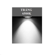 Cuộn LED Dây Dán SMD2835 180led/m 3000K-4000K-6500K DC12V DC24V 15W/m