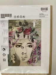 全新未拆 IKEA TVILLING Anahata Katkin 掛畫 兩幅