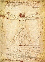 PalaceLearning Vitruvian Man โดย Leonardo Da Vinci โปสเตอร์สัดส่วนของมนุษย์วาดภาพศิลปะการพิมพ์ลามิเน