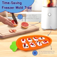 Baby Fruit Feeder with Freezer Tray – 3-Size Silicone Teether for 3-24 Months, BPA-Free, Leakproof S