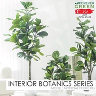 [WITH FREE GIFT] Fiddle Fig Artificial Plant Fake Plant Pokok Hiasan Pot Basket Coconut Floss Indoor