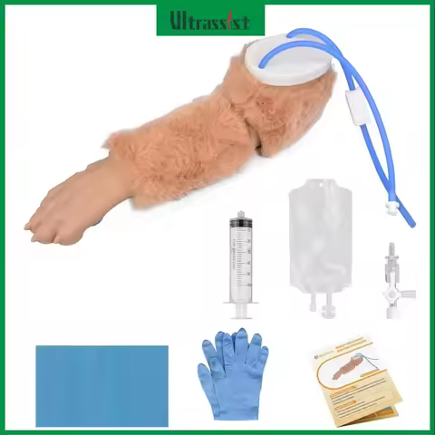 Ultrassist Dog Forelimb IV Venipuncture Injection Train Simulator Canine Venous Blood Insertion Mode