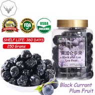 Dried Black Currant Plum Fruit 250g Dried Fruit Snack Healthy snacks for kids