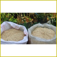 ◧ △ ✗ Fine Saw Dust Kusot 1 kilo for Plant Substrate / Alternative for Cat Litter