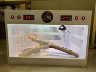 鬆獅蜥蜴 飼養箱 爬蟲箱 恆溫控制