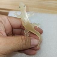Thin rubber gecko toy