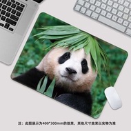 熊貓滑鼠墊 10款選 $30/個；$60/3個