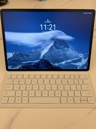 (香港行貨) 華為 Huawei Matepad 12X (12+256gb) 白色 Paper matte版本+ 華為Nearlink keyboard