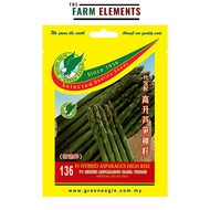 GE 136 F1 Hybrid High Rise Asparagus Seed/ F1 Hibrid Asparagus Hasil Tinggi Benih(1gm)