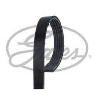 Front Engine Belt 5PK MG GS 1.5 2016- 15E4E 1.5 GATES