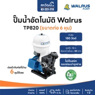 Walrus ปั๊มน้ำอัตโนมัติ Automatic Booster Pump 180W 370W ไม่เป็นสนิม รุ่น TP820P / TP825P ปั๊มออโต้