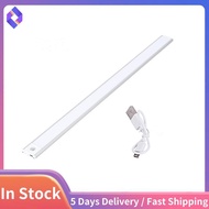 LED Night Light 20cm Motion Sensor Wireless USB Cabinet Night Light Wardrobe Lamp for Kitchen Cabine
