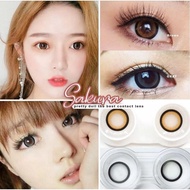 คอนแทคเลนส์ รุ่น Sakura/Edge สีเทา/ตาล Gray/Brown