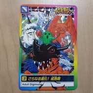 數碼暴龍 閃卡 90%